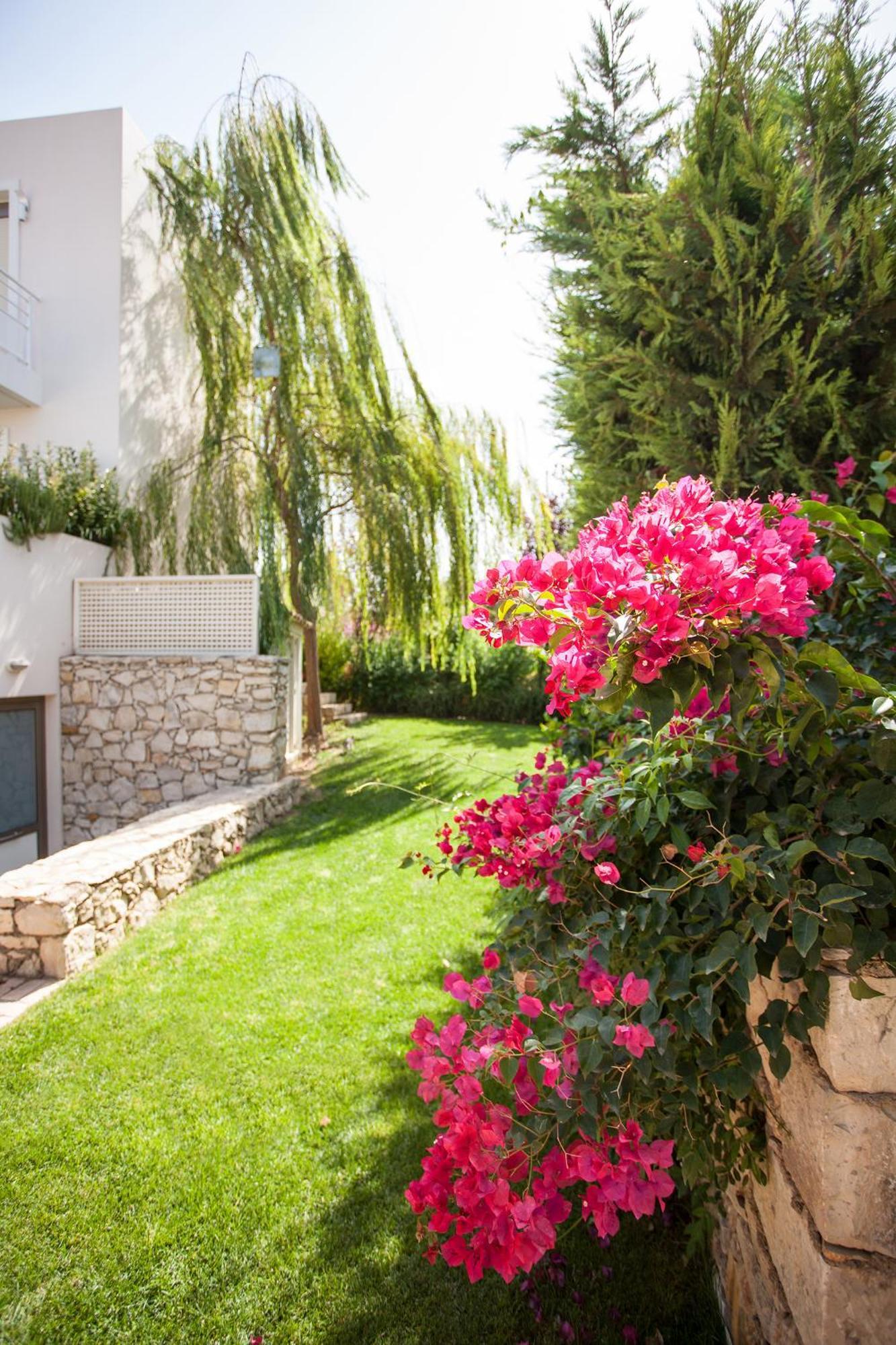 Salvia Villas Skouloúfia Rum bild